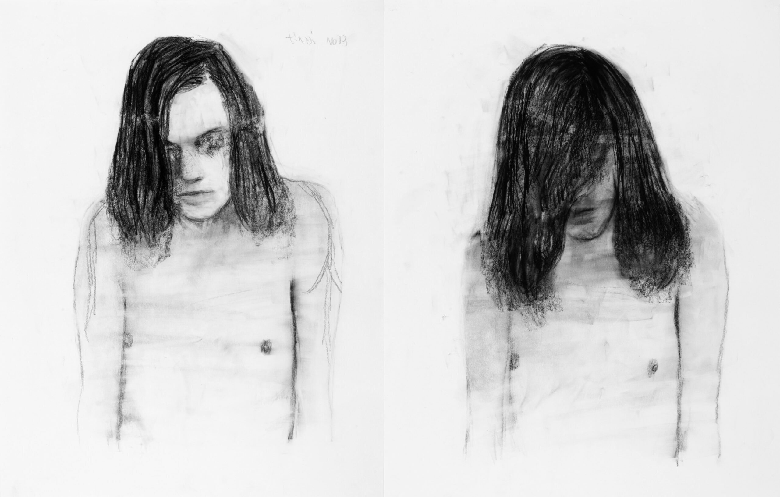 Alexander-Tinei-Hair-of-hair-on-2023-grafit-papir-65×100-cm